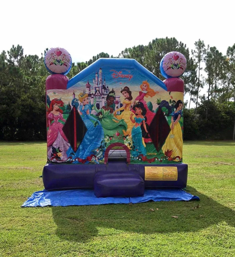 Character & theme bounce houses